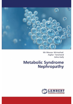 Metabolic Syndrome Nephropathy