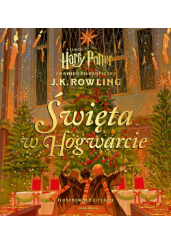 Święta w Hogwarcie. Harry Potter