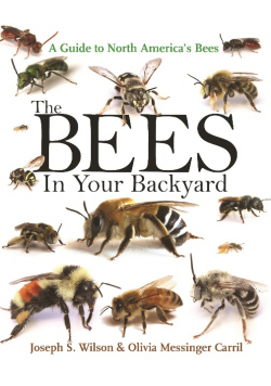 The Bees in Your Backyard