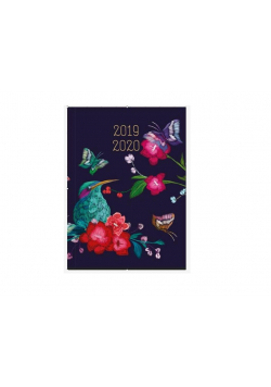 Kalendarz tygodniowy B6 2019-2020 Zimorodek ALBI
