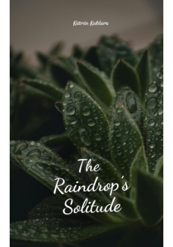 The Raindrop's Solitude