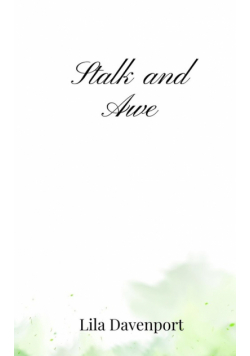 Stalk and Awe