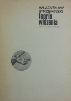 Teoria widzenia