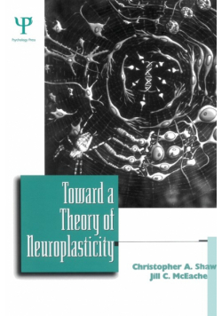 Toward a Theory of Neuroplasticity