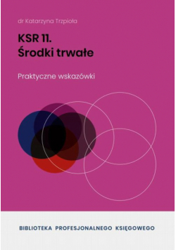 KSR 11 Środki trwałe