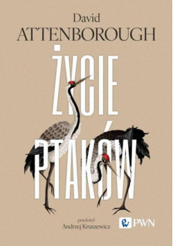 Życie ptaków