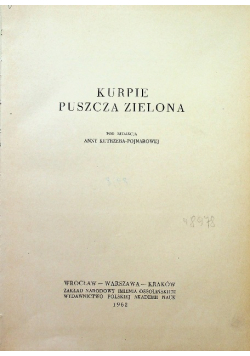 Kurpie Puszcza zielona