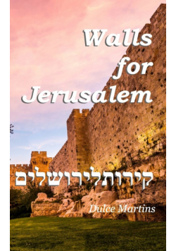 Walls For Jerusalem
