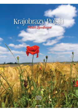 Kalendarz 2025 ścienny mały Krajobrazy polski KSM-1