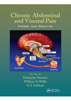 Chronic Abdominal and Visceral Pain