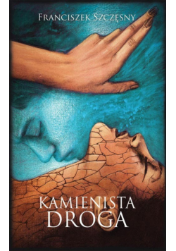 Kamienista droga
