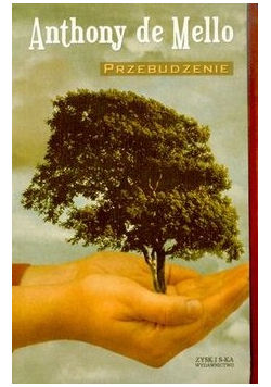 Przebudzenie