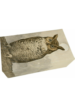 Mydło 200g zapach leśny Sowa