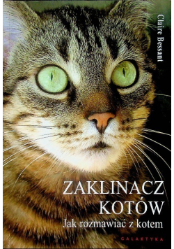 Zaklinacz kotów