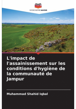 L'impact de l'assainissement sur les conditions d'hygiène de la communauté de Jampur