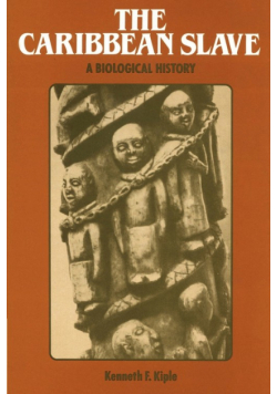 The Caribbean Slave