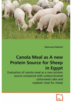 Canola Meal as A new Protein Source for Sheep in Egypt