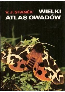 Wielki atlas owadów