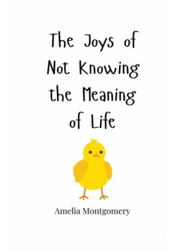 The Joys of Not Knowing the Meaning of Life
