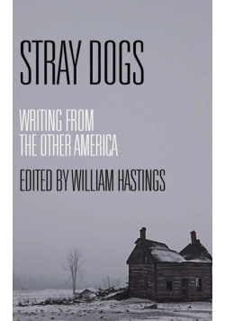Stray Dogs