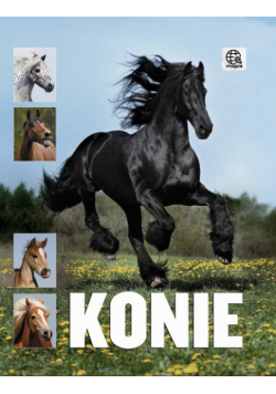 Wengerek Karolina - Konie