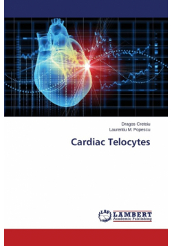 Cardiac Telocytes