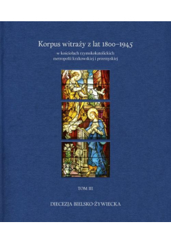 Korpus witraży T.3 Diecezja bielsko-żywiecka