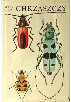 Mały atlas chrząszczy
