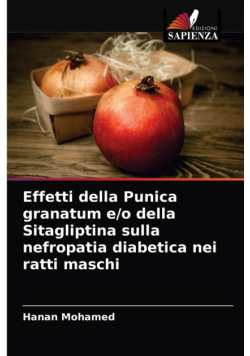 Effetti della Punica granatum e/o della Sitagliptina sulla nefropatia diabetica nei ratti maschi
