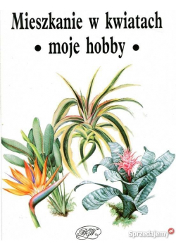 Mieszkanie w kwiatach moje hobby
