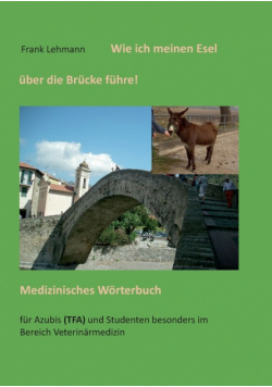 Wie ich meinen Esel über die Brücke führe