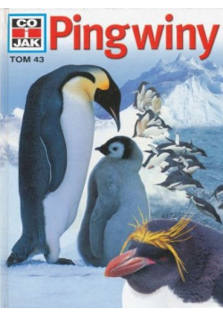 Pingwiny tom 43
