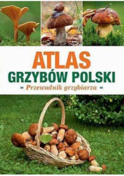 Atlas Grzybów Polski. Poradnik Grzybiarza