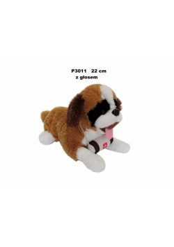 Pies bernardyn z głosem 22cm