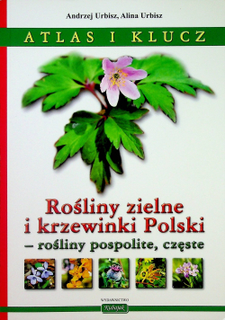 Rośliny zielne i krzewinki Polski rośliny pospolite częste Atlas i klucz