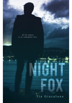 Night Fox