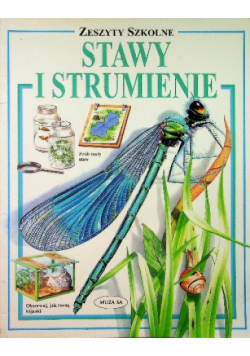 Zeszyty szkolne Stawy i strumienie