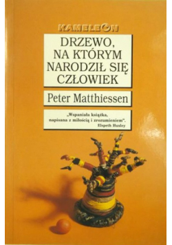 Drzewo na którym narodził się człowiek