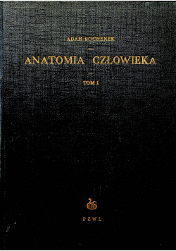 Anatomia człowieka Tom I