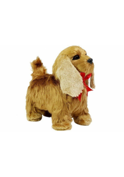 Cocker Spaniel interaktywny