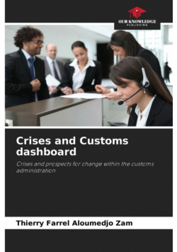 Crises and Customs dashboard