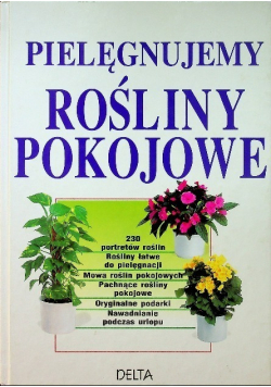 Pielęgnujemy rośliny pokojowe