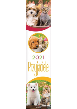 Kalendarz 2021 Ścienny paskowy Przyjaciele