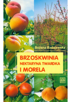 Radajewska Bożena - Brzoskwinia i morela