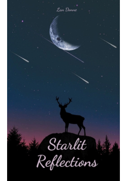 Starlit Reflections