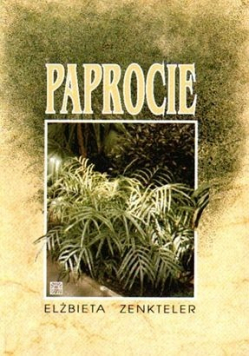 Paprocie w domu parku i ogrodzie