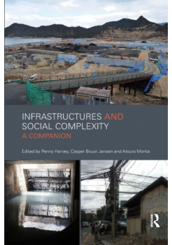 Infrastructures and Social Complexity