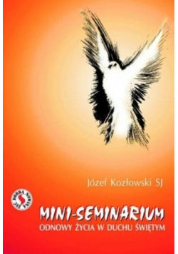 Mini seminarium