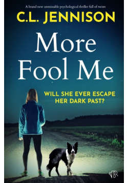 More Fool Me