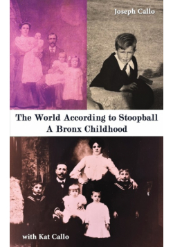 The World According to Stoopball